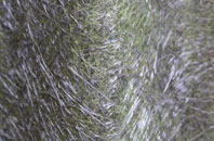 Creeting Bottoms fibreglass roof work