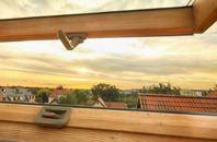 rated Creeting Bottoms roof window companies